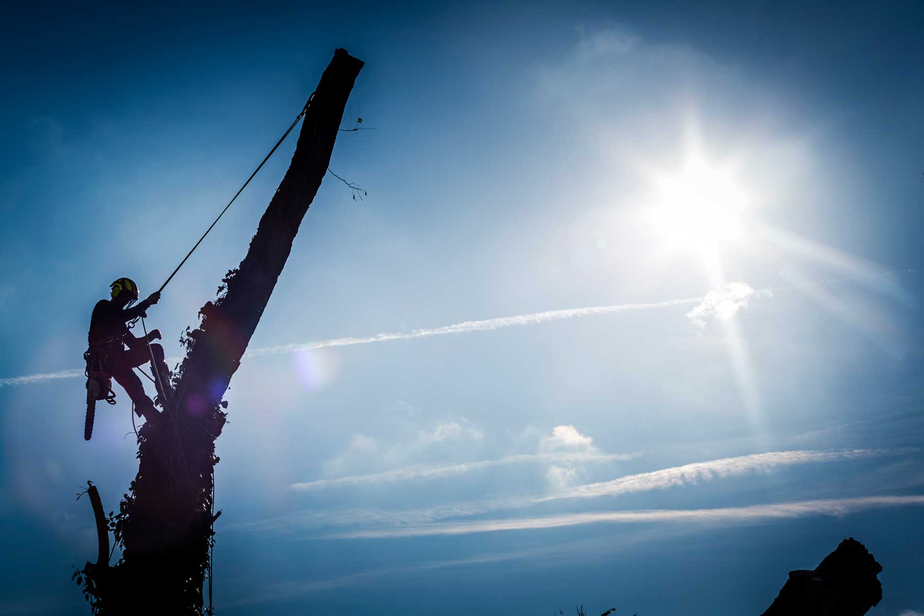 Arbor Technical Institute Slider 1